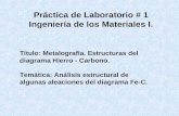 Práctica de Laboratorio # 1 Ingeniería de los Materiales I. Título: Metalografía. Estructuras del diagrama Hierro - Carbono. Temática: Análisis estructural.