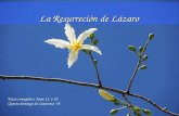 Texto evangélico: Juan 11, 1-45. Quinto domingo de Cuaresma –A- La Resurreción de Lázaro.