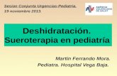 Deshidratación. Sueroterapia en pediatría Martín Ferrando Mora. Pediatra. Hospital Vega Baja. Sesion Conjunta Urgencias-Pediatria. 19 noviembre 2013.