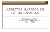 ASPECTOS BASICOS DE LA INFLAMACION Margarita Paz Curso de Inmunología UMG – 2011.