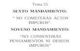 Tema 25 SEXTO MANDAMIENTO: “ NO COMETERÁS ACTOS IMPUROS”. NOVENO MANDAMIENTO: “NO CONSENTIRÁS PENSAMIENTOS NI DESEOS IMPUROS”