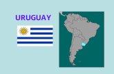 URUGUA Y. Ciudades principales 1. Montevideo 1.319.108 2. Ciudad de la Costa 112.449 3. Salto 104.028 Demografía: 88% europeo 8% mestizo 4% afro-uruguayos.