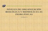 NIVELES DE ORGANIZACIÓN BIOLÓGICA Y BIOMOLÉCULAS INORGÁNICAS CLASE Nº 1.