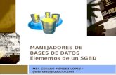 MANEJADORES DE BASES DE DATOS Elementos de un SGBD MSI. GENARO MENDEZ LOPEZ / genarom@grupocice.com.
