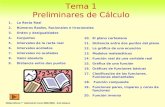Tema 1 Preliminares de Cálculo Matemáticas 1º Veterinaria Curso 2002/2003. Ana Allueva 1.La Recta Real 2.Números Reales, Racionales e Irracionales 3.Orden.
