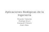 Aplicaciones Biológicas de la Ingeniería Ricardo Taborda Rodrigo Bruni Ezequiel Chesini Juan Atea.