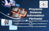 LOGO Proyecto Sistema Informático Perinatal Dirección Ejecutiva Nacional de Servicios y Prestaciones en Salud Programa Materno Infantil - Registros y Estadísticas.