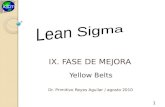 IX. FASE DE MEJORA Dr. Primitivo Reyes Aguilar / agosto 2010 1 Yellow Belts.