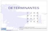 DETERMINANTES Departamento de Matemáticas Autora: Mª Soledad Vega Fernández Presentación adaptada al libro de texto Matemáticas II de Anaya Ed. 2003.
