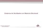 Centro de Capacitación Judicial Electoral Sistema de Nulidades en Materia Electoral.