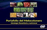 Portafolio del Melocotonero Estrategia fitosanitaria y nutricional.