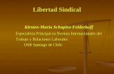 Libertad Sindical Kirsten-Maria Schapira-Felderhoff Kirsten-Maria Schapira-Felderhoff Especialista Principal en Normas Internacionales del Especialista.