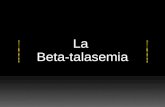 La Beta-talasemia. Talasemia: Es un trastorno hereditario Se caracteriza por la producción defectuosa de hemoglobina que lleva a una disminución en la.