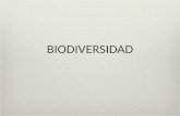 BIODIVERSIDAD. Concepto de Biodiversidad según Ley 19.300  Biodiversidad o Diversidad Biologica: la variabilidad de los organismos vivos, que forman.
