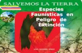 LCDO. SULVARÁN SERGIO Especies Faunísticas en Peligro de Extinción.