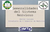 Generalidades del Sistema Nervioso Héctor Lezcano Estudiante de X Semestre de Medicina.