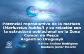 Karina Andrea Rodrigues Gustavo Javier Macchi Potencial reproductivo de la merluza (Merluccius hubbsi) y su relación con la estructura poblacional en la.