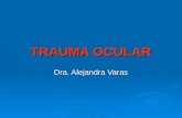 TRAUMA OCULAR Dra. Alejandra Varas. TRAUMAS DE PARPADOS  La lesión más frecuente frente al trauma frontal o palpebral contusa es el Hematoma palpebral.