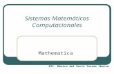 Sistemas Matemáticos Computacionales Mathematica MTI. Mónica del Rocío Torres Ibarra.