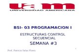 1 BSI- 03 PROGRAMACION I ESTRUCTURAS CONTROL SECUENCIAL SEMANA #3 SEMANA #3 Prof. Patricia Salas Flores.
