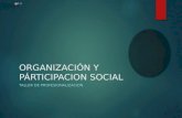 ORGANIZACIÓN Y PÁRTICIPACION SOCIAL TALLER DE PROFESIONALIZACION.