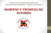 HABITOS Y TECNICAS DE ESTUDIO INSTITUTO ALEMÁN DE FRUTILLAR Departamento de Orientación – Segundo Ciclo Básico.