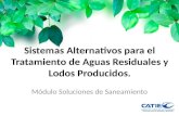 Sistemas Alternativos para el Tratamiento de Aguas Residuales y Lodos Producidos. Módulo Soluciones de Saneamiento.
