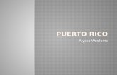 Alyssa Woolums.  Mapa/Ciudades  Un celebracion  Personas famosas  Comida  La Bandera de Puerto Rico  Lugares para Visitar  Datos Divertidos de.