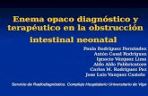 Enema opaco diagnóstico y terapéutico en la obstrucción intestinal neonatal Paula Rodríguez Fernández Antón Casal Rodríguez Ignacio Vázquez Lima Aldo Aldo.