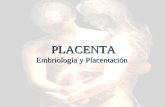 PLACENTA Embriología y Placentación PLACENTA Embriología y Placentación.