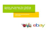 Gestor de Ventas Pro (Selling Manager Pro): Visión general Utilización de la herramienta Enero 2010.