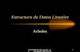 UNIVERSIDAD DEL CAUCA - PIS Ing. Miguel Angel Niño Zambrano EDII1 Estructura de Datos Lineales Arboles.