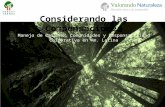 Considerando las Compensaciones Manejo de Carbono, Comunidades y Responsabilidad Corporativa en Am. Latina.