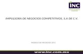 IMPULSORA DE NEGOCIOS COMPETITIVOS, S.A DE C.V. MODELO DE NEGOCIOS 2011.