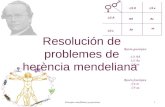 1 Dr. Antonio Barbadilla Principios mendelianos y extensiones1 AAAa aa 1/2 A1/2 a 1/2 A 1/2 a Razón fenotípica 3/4 A- 1/4 aa Razón genotípica 1/4 AA 1/2.