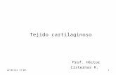 15/04/2015 21:001 Tejido cartilaginoso Prof. Héctor Cisternas R.