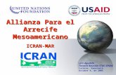 Allianza Para el Arrecife Mesoamericano ICRAN-MAR Liza Agudelo Tercera Reunión STAC-SPAW Caracas, Venezuela Octubre 4, de 2005.