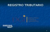 1 REGISTRO TRIBUTARIO REGISTRO TRIBUTARIO ENCUENTRO SUR-SUR GUATEMALA-ANTIGUA Agosto 2013 URUGUAY.