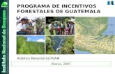 Marzo, 2007 PROGRAMA DE INCENTIVOS FORESTALES DE GUATEMALA Adelso Revolorio/INAB.