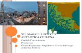 XII. MAGALLANES Y LA ANTÁRTICA CHILENA Capital: Punta Arenas Provincias: Última Esperanza- Magallanes- Tierra del Fuego- Antártica Chilena.