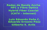Redes de Banda Ancha HFC y Fibra Óptica Hybrid Fiber Coaxial (CATV – Internet) Luis Eduardo Peña C. Eduardo Ernesto Páez Gilberto E. Avila.