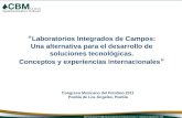 “ Laboratorios Integrados de Campos: Una alternativa para el desarrollo de soluciones tecnológicas. Conceptos y experiencias internacionales ” Congreso.