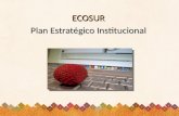 ECOSUR Plan Estratégico Institucional. El Colegio de la Frontera Sur.