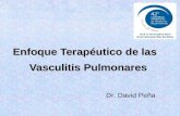 Enfoque Terapéutico de las Enfoque Terapéutico de las Vasculitis Pulmonares Vasculitis Pulmonares Dr. David Peña.