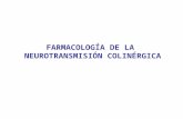 FARMACOLOGÍA DE LA NEUROTRANSMISIÓN COLINÉRGICA. Transmisión colinérgica  acetilcolina (neurotransmisor)