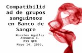 Compatibilidad de grupos sanguíneos en Banco de Sangre Morales Aguilar Armonía C. PSS QFB Mayo 14, 2009.