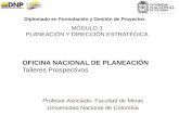 Profesor Asociado- Facultad de Minas Universidad Nacional de Colombia Diplomado en Formulación y Gestión de Proyectos OFICINA NACIONAL DE PLANEACIÓN Talleres.