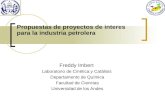 Propuestas de proyectos de interes para la industria petrolera Freddy Imbert Laboratorio de Cinética y Catálisis Departamento de Química Facultad de Ciencias.