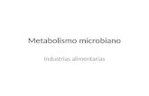 Metabolismo microbiano Industrias alimentarias. Una Visión Simplificada del Metabolismo Celular.