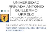 UNIVERSIDAD PRIVADA ANTONIO GUILLERMO URRELO FARMACIA Y BIOQUÍMICA ANATOMÍA Y FISIOLOGÍA II DR. VICTOR VICENTE CRUZ CHINCHAY ANATOMIA FUNCIONAL DEL SISTEMA.